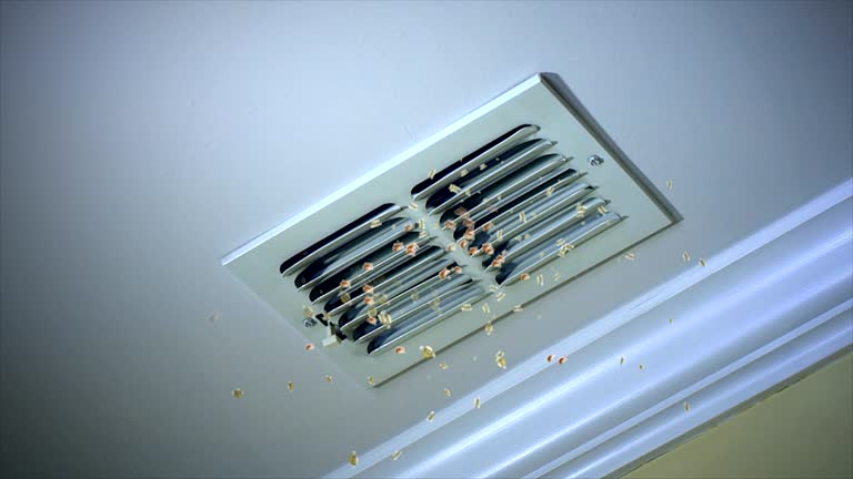 Best Air Duct Inspection  in Greeley, CO