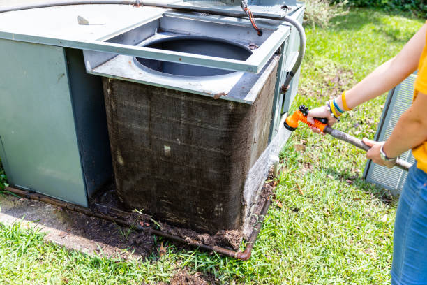 Best Affordable Air Duct Cleaning  in Greeley, CO