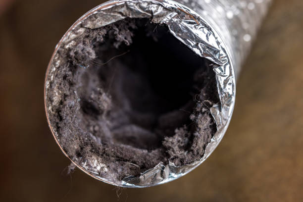 Best Air Duct Cleaning Near Me  in Greeley, CO