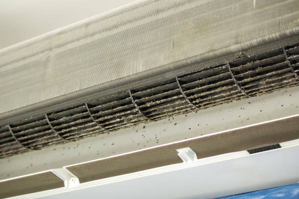 Best Commercial HVAC Duct Cleaning  in Greeley, CO